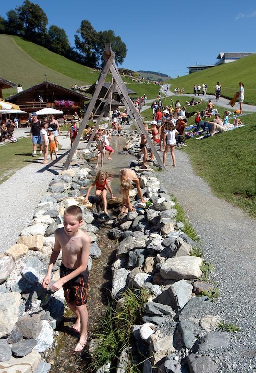 Gasthof Pension Lanzenhof Going am Wilden Kaiser Екстер'єр фото